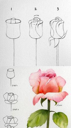 how to draw a rose step by step