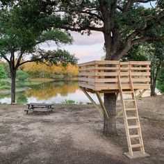 a treehouse built into the side of a tree with a ladder up to it