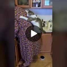 a cat sitting on top of a chair in a kitchen