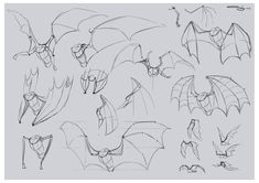 an image of some drawings of bats