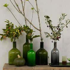 three green vases sitting on top of a wooden shelf next to a small tree