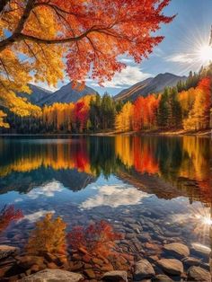 a lake surrounded by trees with autumn leaves on the water and rocks in front of it