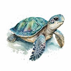 a watercolor painting of a sea turtle