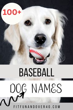 baseball dog names Parenting Advice Quotes