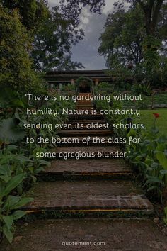 Let’s read an inspiring collection of garden quotes that will remind us of the wisdom, beauty, and life lessons found in the petals and greenery of a garden!