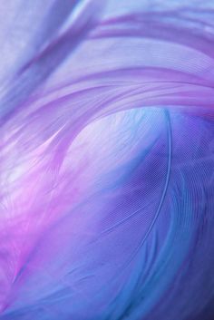 Cool Aesthetic Wallpaper Backgrounds for Iphone, mobile phone Wallpaper Background Aesthetic, Feather Background, Aesthetic Wallpaper Backgrounds