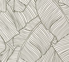 a drawing of leaves on a white wallpaper with brown lines in the center and bottom