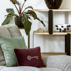 a living room filled with furniture and a potted plant