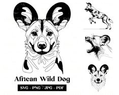 the african wild dog is shown in black and white, with four different designs on it