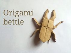 an origami beetle sitting on top of a piece of paper with the words origami beetle below it