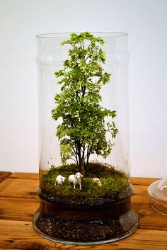 a glass vase filled with plants and animals on top of a wooden table next to a white wall