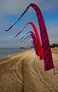 there are many kites flying on the beach