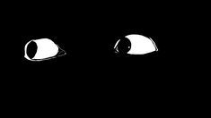 two cats'eyes are shown in the dark