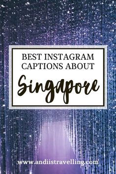 Best Instagram captions about Singapore Best Instagram Captions, Light Up Tree, Travel Captions