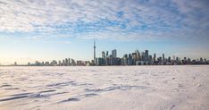 the city skyline is seen in the distance as snow covers the ground