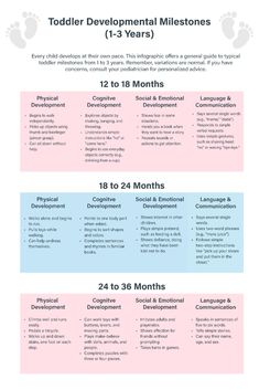 an info sheet for toddler development in the united states, with information about each child's needs