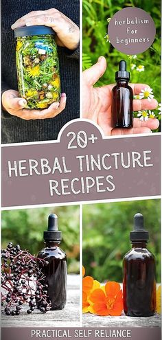 Herbal Tinctures Recipes, Dandelion Tincture, Herbalism For Beginners, Tincture Recipes, Elderberry Tincture, Nettle Tincture, Medicine Recipes, Herb Tinctures, Tinctures Recipes