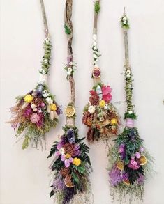 four different types of flowers hanging from branches