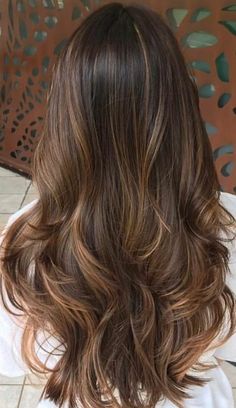 57+ Must-Try Brown Hair with Caramel Highlights for a Sun-Kissed Glow Up Brown Hair With Caramel Highlights, Caramel Hair, Hairstyles For Layered Hair, Caramel Highlights