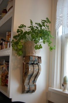 a potted plant sitting on top of a shelf next to a window