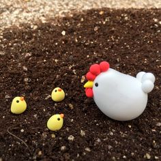 small plastic chickens and chicks are in the dirt