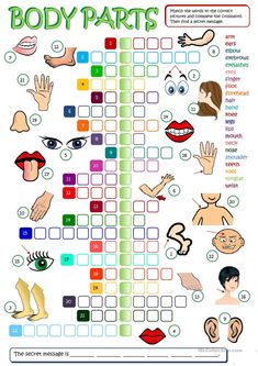 the body parts crossword puzzle game for kids and adults to learn how to use it