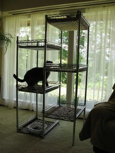 a black cat sitting on top of a metal shelf