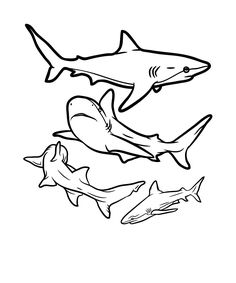 three sharks swimming together in the ocean coloring pages for kids, with black and white lines