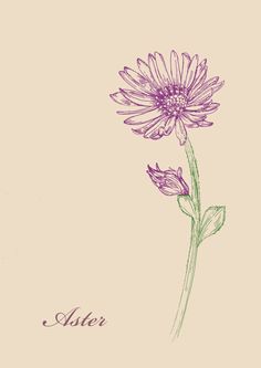 a drawing of a purple flower with the word after written in cursive writing