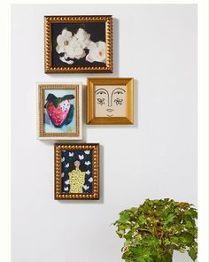 a potted plant sitting on top of a wooden table next to three framed pictures