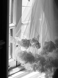 black and white photograph of flowers in front of a window with sheer fabric on it