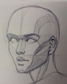 a drawing of a man's head with lines on it