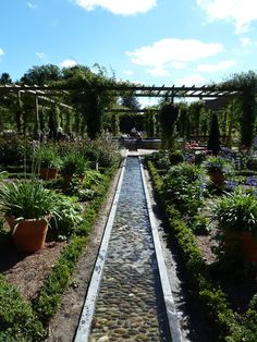 an outdoor garden with water running through it