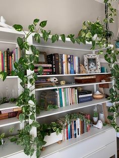 a bookshelf filled with lots of books and plants