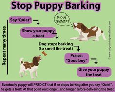 a poster with instructions on how to stop puppy barking