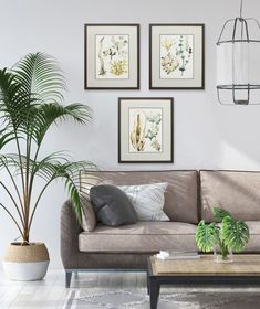 a living room with two palm trees on the wall and a coffee table in front of it