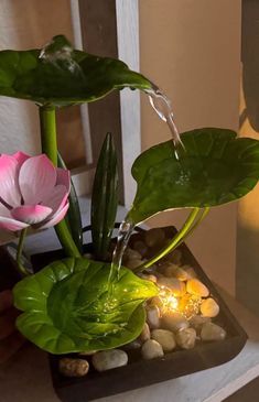 a person is holding a water fountain with flowers and rocks in it on a table