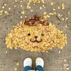 a person standing in front of a pile of leaves with a dog's head on it