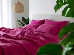 a bed covered in pink sheets and pillows next to a potted plant with green leaves