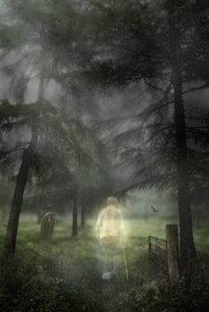 a person walking through a forest with fog