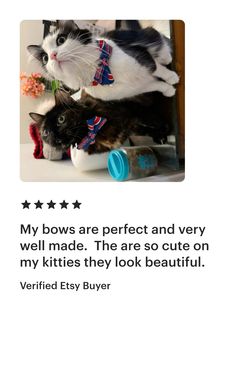 two cats sitting on top of each other in front of a white background with the caption, my bows are perfect and very well made