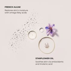 Made with a blend of French Olive Oil, French Plum Seed Oil and Glycerin to help restore the skin’s elasticity, while Tapioca Starch creates a blurring and skin-evening effect to eliminate dry skin and cracks, leaving behind perfect-looking skin with an elegant sheen. Feautring Ambre Vanille, Neroli Du Sud - plus one beloved scent back for a limited time - Fresh Fig. TOPLINE BENEFITS Instantly moisturizes hands and improves skin texture Delivers long lasting moisture and hydration CLAIMS: Instan Plum Seed, Rough Bumpy Skin, Hand Creams, Bumpy Skin, Citrus Fragrance, Cocoa Seeds, Body Serum, Improve Skin Texture, Floral Notes