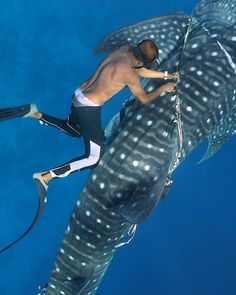 a man standing on top of a whale under water