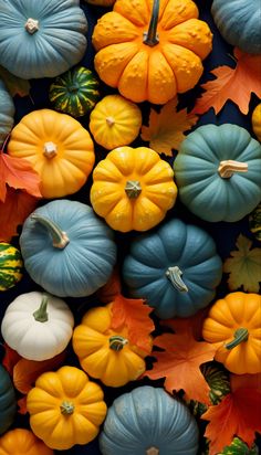 many different colored pumpkins with leaves on them