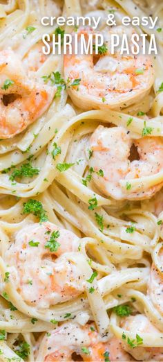 pasta with shrimp and parsley garnish in a white sauce that is ready to be eaten