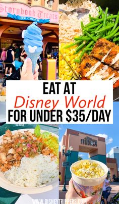 the food at disney world for under $ 3 / day is shown in this collage