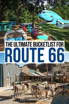 the ultimate bucket list for route 66 in texas with pictures of animals and their surroundings