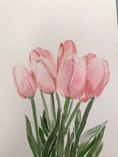 a watercolor painting of pink flowers in a vase