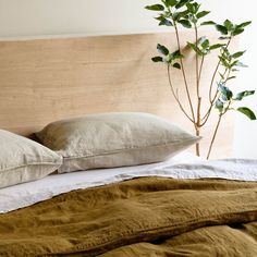 a bed with two pillows and a plant in the corner