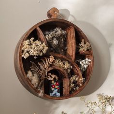 a wooden shelf with plants and other items in it on a white wall next to dried flowers